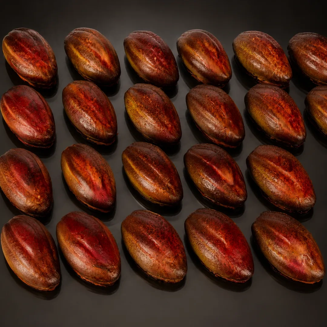 Cabosse, une pâtisserie trompe-l’œil au Chocolat et Kalamansi de Stéphane Pasco, artisan pâtissier à Nantes et Vertou