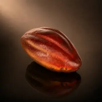 Cabosse, une pâtisserie trompe-l’œil au Chocolat et Kalamansi de Stéphane Pasco, artisan pâtissier à Nantes et Vertou