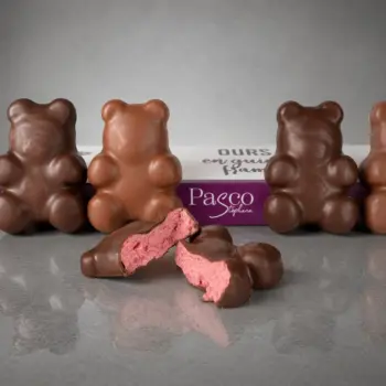 Boite de 6 Guimauves Framboise enrobées de Chocolat Lait et Noir, en forme d'Ourson, de Stéphane Pasco, Chocolatier à Nantes et Vertou