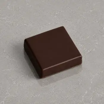 Bouchée Praliné Craquant enrobées de Chocolat Noir, de Stéphane Pasco, artisan chocolatier à Nantes et Vertou